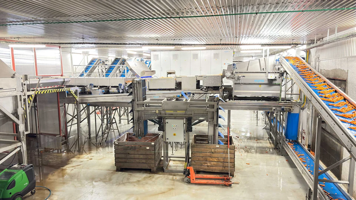 Modernización de la línea de procesado de zanahorias de Lundstad Grønt con tecnología de Wyma.png